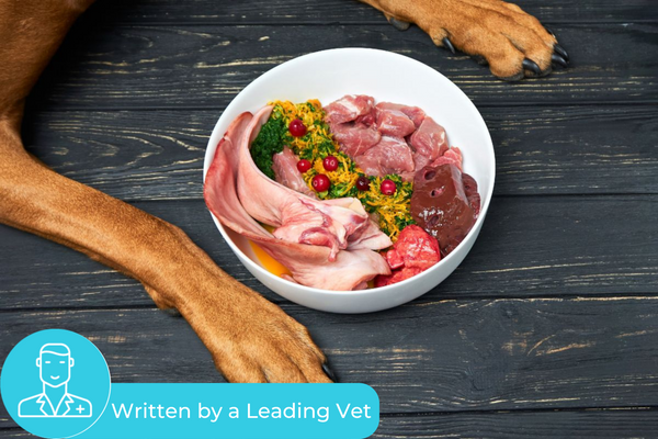 Why Most Vets Don t Love Raw Diets Nextrition Pet