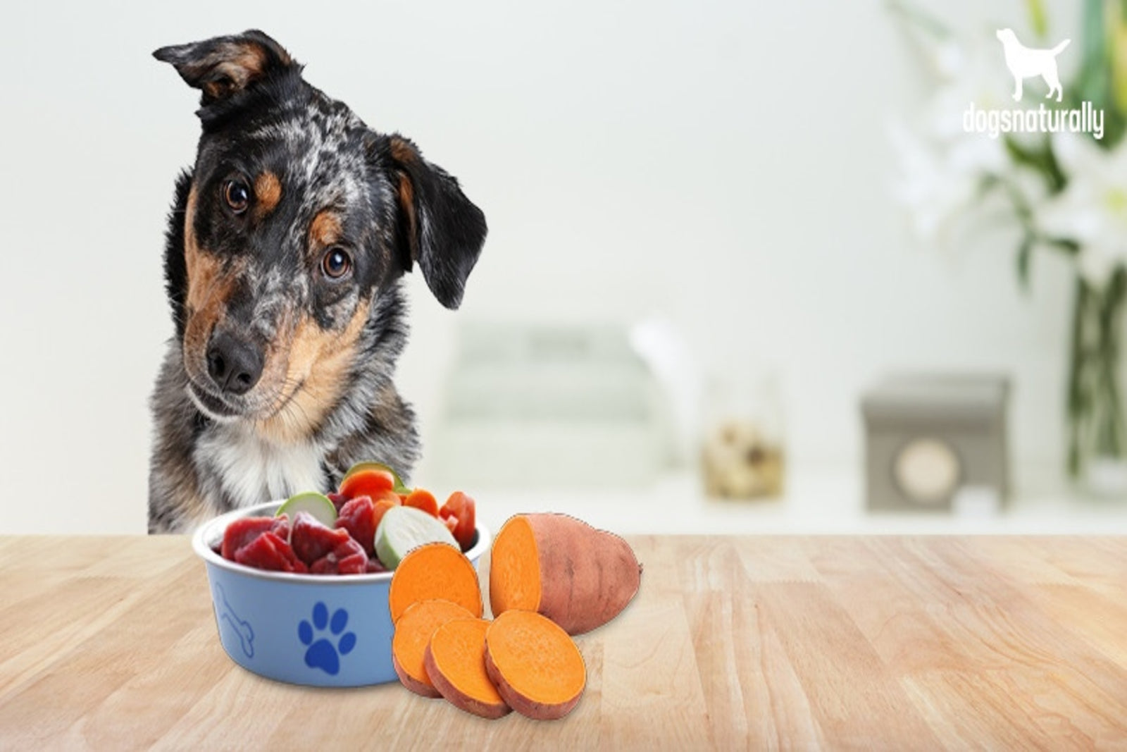 Potatoes ok shop for dogs