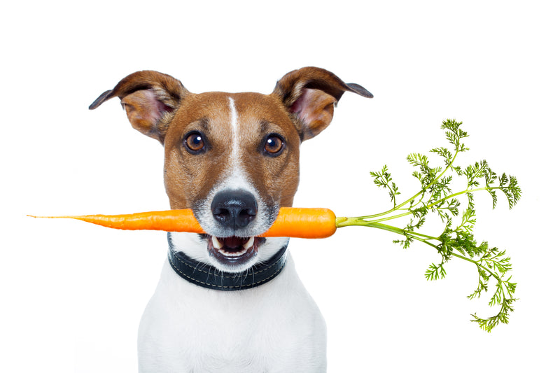 Dogs eat raw clearance carrots